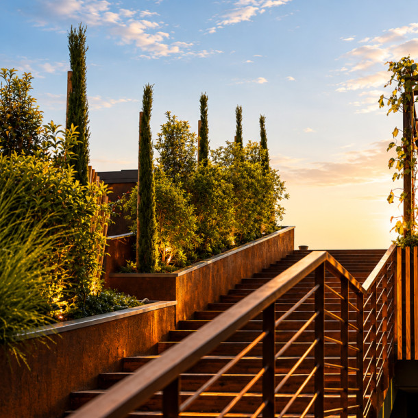 Rooftop - ingresso