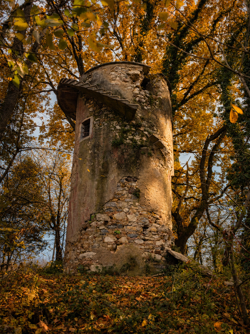 torre la guglia